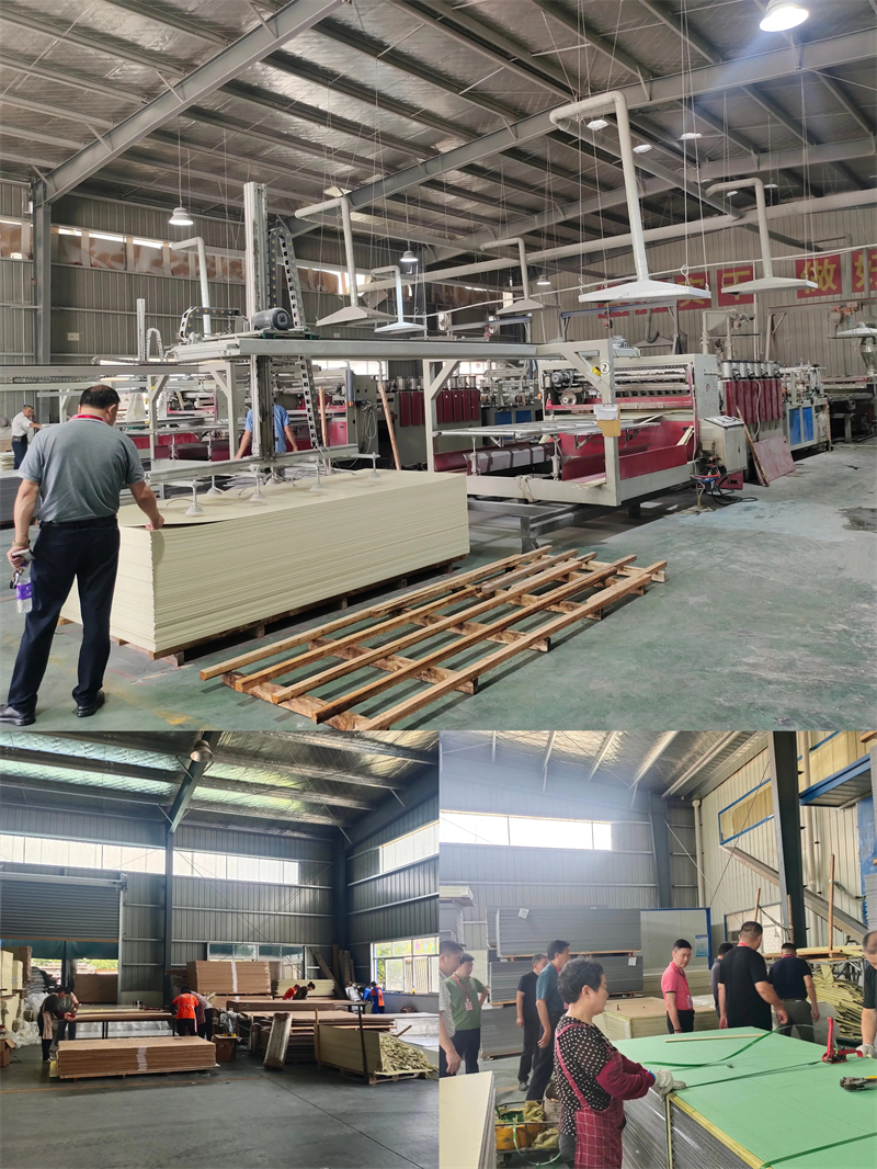 1688018175131184.jpg 9.jpg